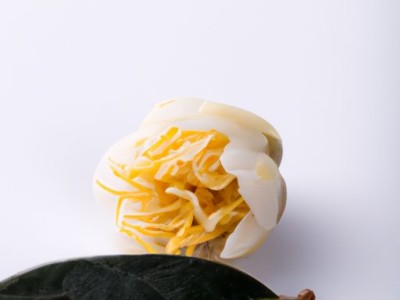 玉髓与玉的区别，玉髓是玉吗？