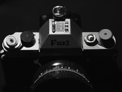 花蛤的食用价值和营养价值