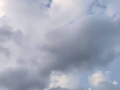 瑞宝壁纸怎么样？瑞宝壁纸好不好？