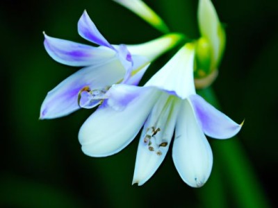 卖房子过户费多少钱