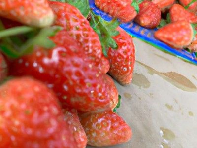 哪个防水涂料好？如何选择防水涂料？