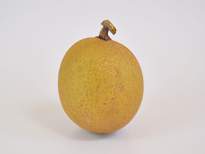 鸭梨的产地及特点