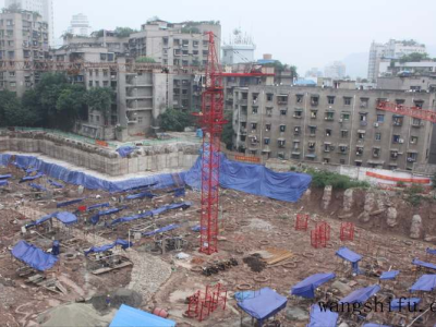 特玉莲（特玉莲的养殖方法和注意事项）