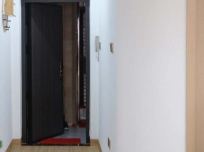 金蟾头朝店铺哪个方位及店里摆金蟾头应该朝里朝外