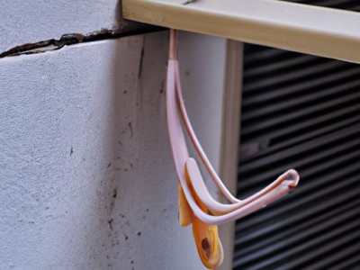 壁挂式过滤桶哪个好及壁挂滤桶推荐