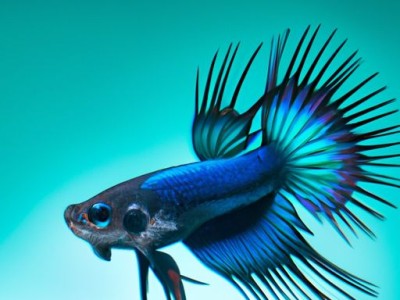 地弹簧安装及地弹簧安装视频