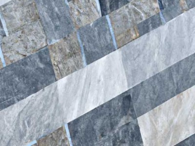 千年木（千年木的养殖方法和注意事项）