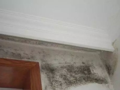 家里墙面发霉怎么处理？如何预防发霉？