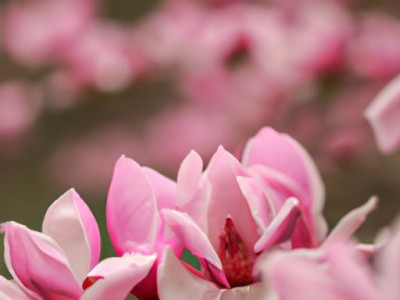 格力空调哪个系列好（格力空调哪个系列好,性价比最高）