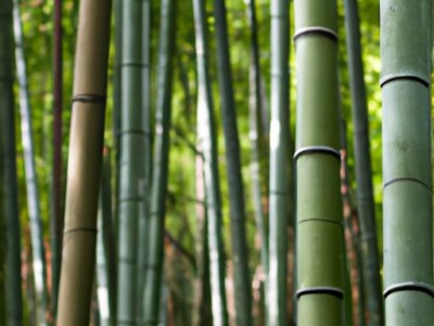 埋在地下的水管漏水怎么检测