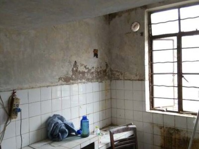 暖手抱枕及暖手抱枕海绵宝宝：温暖你的冬日时光