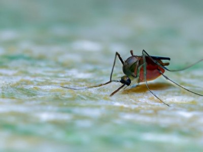 婴儿蚊帐及婴儿蚊帐哪个牌子质量最好