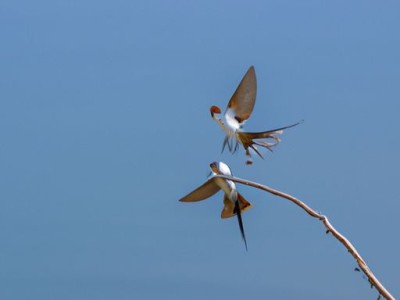 腻子粉墙面如何施工