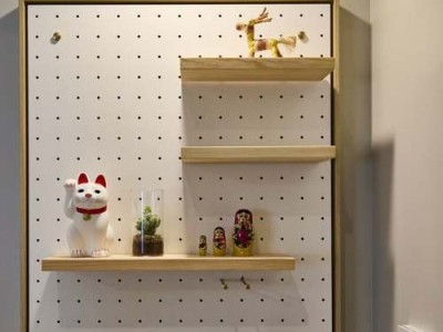 支架（支架手术需要多少钱）