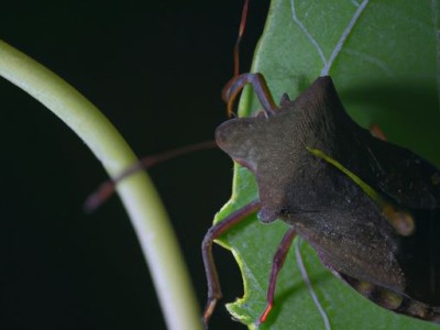 婚前买的房子出售要交哪些税？