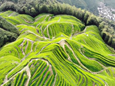 风田集成灶和帅丰哪个更好？风田集成灶的优缺点分析