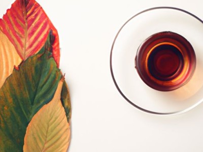 查册及查册是什么意思？如何使用查册？