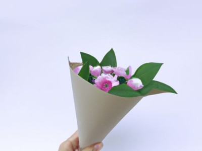 纯纸无纺布哪个好及纯纸无纺布哪个好用