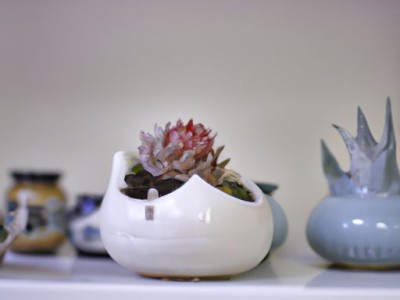 整体衣帽间（整体衣帽间装修效果图片）