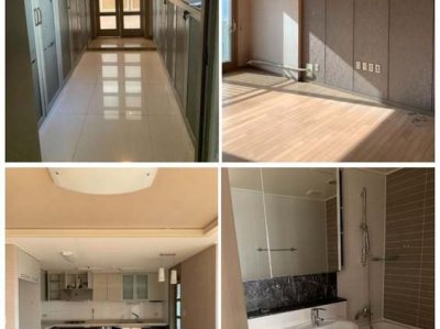 老鹰茶（老鹰茶的功效和作用）