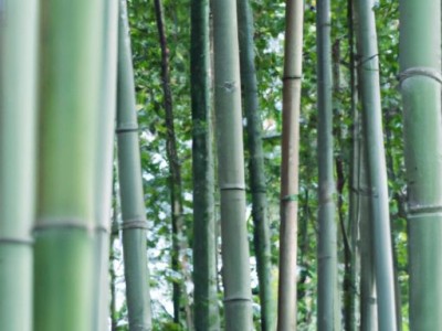 如何清洗竹凉席，让其保持清洁干净