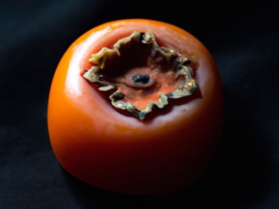 柿蒂的功效与作用及其相关信息