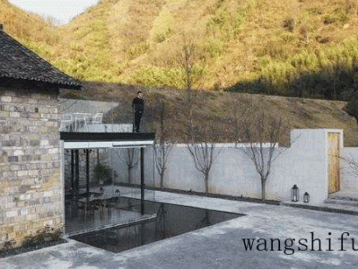 宝草（宝草玉露）