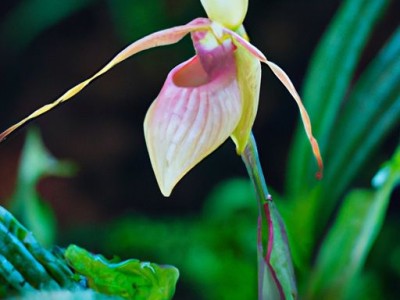 磁疗枕（磁疗枕头的功效）