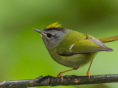 蚕丝被的保养及注意事项