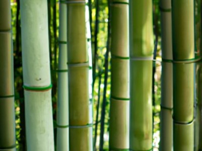 如何去除竹席上的毛刺？