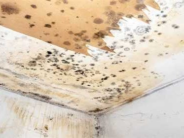 一楼房子潮湿有什么办法解决呢