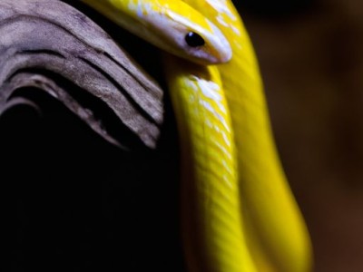 中央空调吊顶高度（中央空调吊顶高度的标准尺寸）