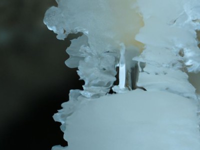 金发晶的功效与作用