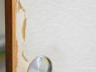 壁纸保养有诀窍，勤打扫是关键！