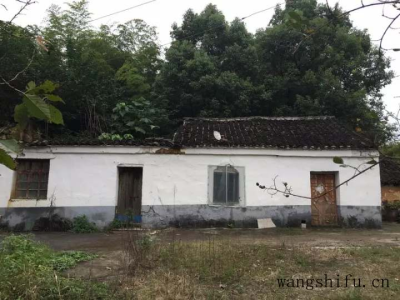 国产电视机哪个牌子好（国产电视机哪个牌子好十大排名）