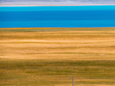 西藏地毯及西藏地毯厂