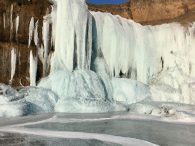 玉扇（玉扇的养殖方法和注意事项）