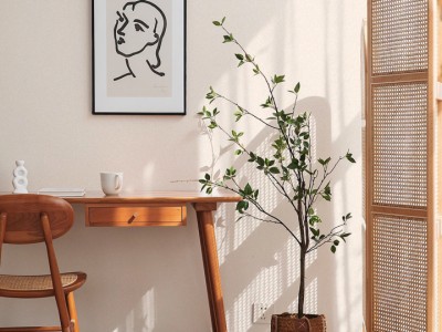 水性涂料配方以及介绍