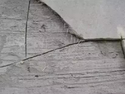 多肉观音莲（多肉观音莲养殖方法和注意事项）