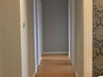 冬红（冬红果海棠）