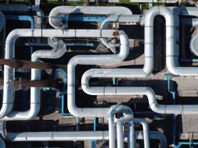 干果的营养价值及干果营养价值排行