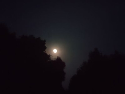 明月和皓众哪个好？皓月和明月的区别是什么？