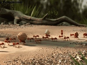 论墙衣取代壁纸市场的可能性