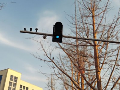 贴砖（贴砖人工费多少钱一个平方）