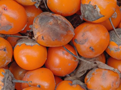 芡实是什么？芡实是一种什么样的东西？