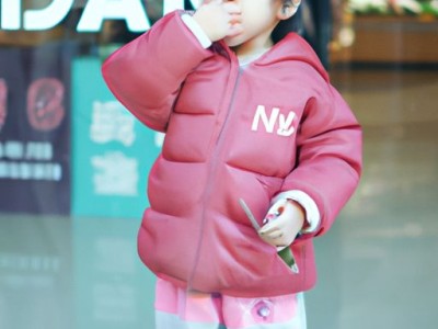 吉娃娃多少钱一只？吉娃娃价格一览