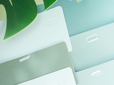 新丝路无缝壁布的特点介绍