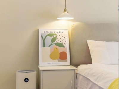 绿萝和吊兰哪个吸甲醛（绿萝和吊兰哪个吸甲醛效果好）