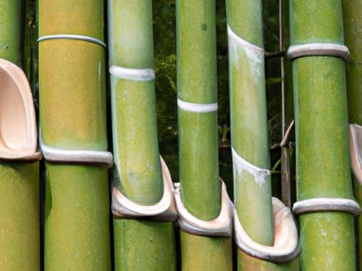 放爆竹与其寓意的探讨