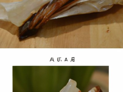 装修业主必读：耳塞式和入耳式哪个好？